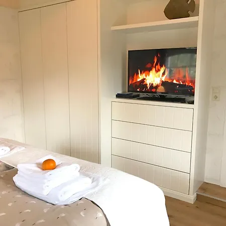 Prázdninový dům Haus Moewennest Midlum (Schleswig-Holstein)